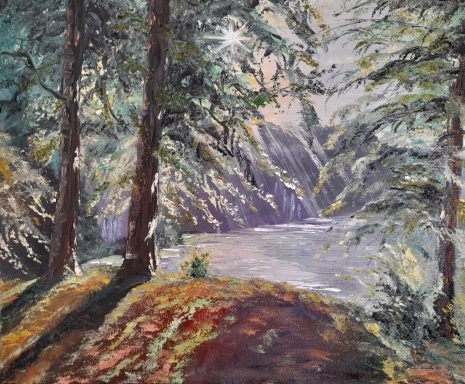 Paysage forestier avec un lac, des arbres majestueux et un éclairage doux.