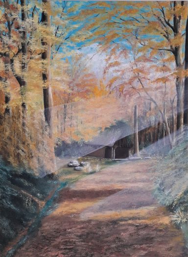 Lumière du petit matin en sous bois - Paysage d'automne avec des arbres colorés et un chemin menant à une cabane.