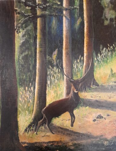 L'AUBE DU CERF